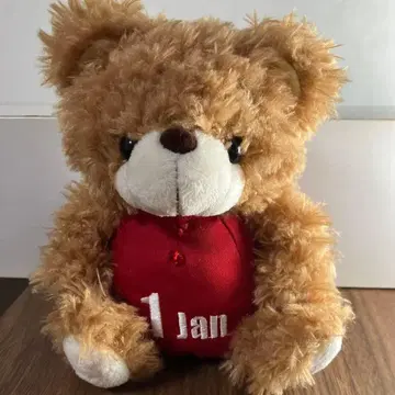 TAKE OFF 테이크오프 곰 봉제 인형 1월 벌스데이 베어