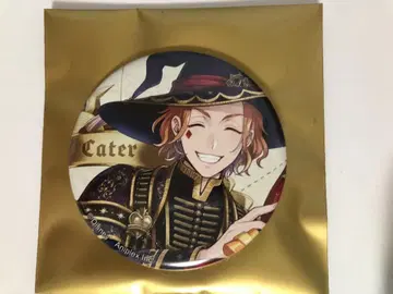 트위스테 블루밍 유니온 벌스데이 캔뱃지 책갈피 케이트 다이아몬드