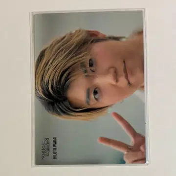 Mrs. GREEN APPLE 노아의 방주 포토 카드