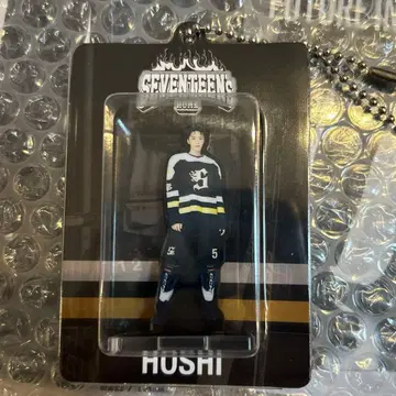 SEVENTEEN's HOME 아크릴 키링 호시