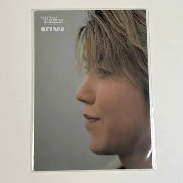 Mrs. GREEN APPLE 노아의 방주 포토 카드