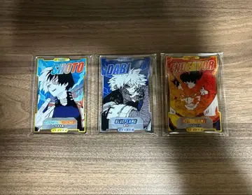 히로아카 스탯 카드 쇼토 다비 엔데버