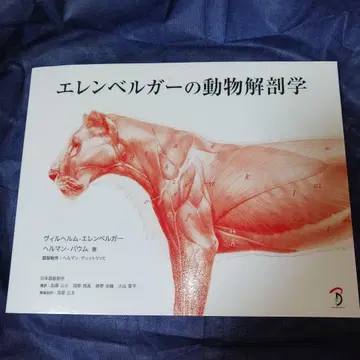 [필름 코팅 가공품] 엘렌베르거의 동물 해부학