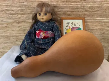 기모노 인형과 박 세트