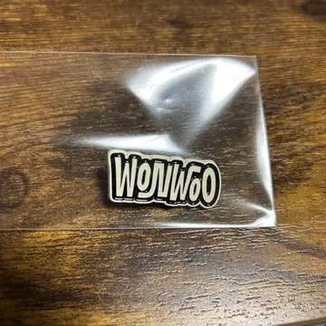 SEVENTEEN HOLIDAY WONWOO 원우 핀즈