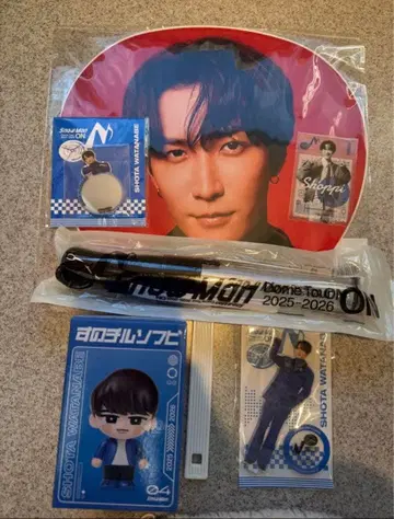 SnowMan Dome Tour 2025-2026 ON 응원봉 부채