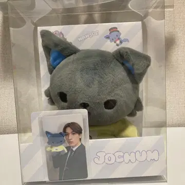 JOCHUM 피하이 봉제 인형 상자 트레이딩 카드 포함