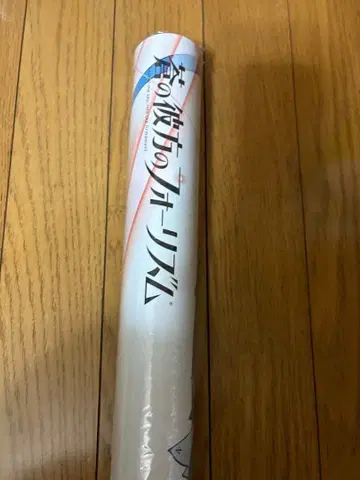 아오노 카나타노 포리즘 포스터 개요란 필독