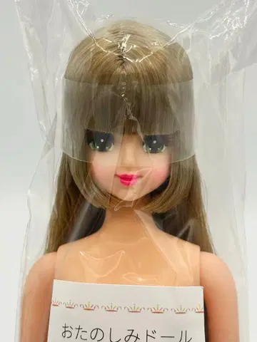 마린 리카짱 캐슬 즐거운 인형 히메컷 제니 프렌드