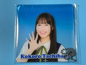HKT48 타치바나 코코로 아크릴 코스터