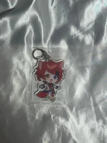 리이누 군 아크릴 키링 스토페스