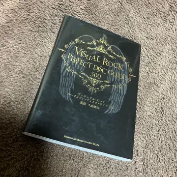 비주얼 락 퍼펙트 디스크 가이드 500