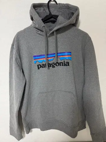 Patagonia 파타고니아 로고 업라이저 후디 M 새상품급