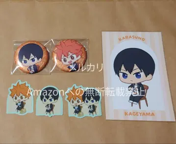 하이큐 AMNIBUS 점프 페스타 캔뱃지 스티커 히나타 카게야마