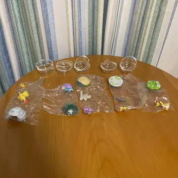 포켓몬 테라리움 컬렉션 5 준완성 세트