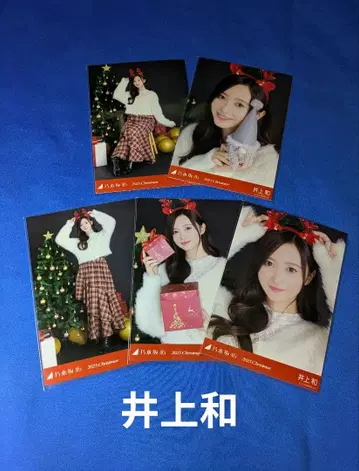 노기자카46 이노우에 나기사 크리스마스 2025 5종 컴프