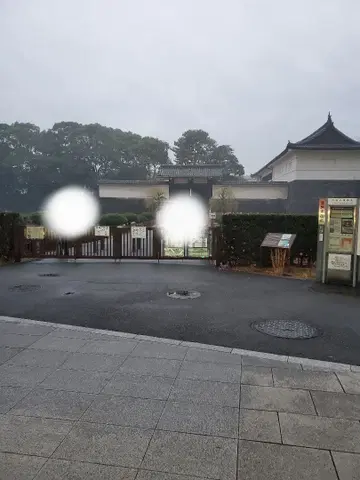 황궁 지갑 금 골드 코인 케이스 동전 지갑 박스 포함