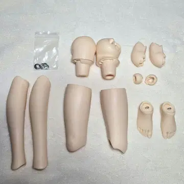 SDGr 여아 가동식 다리 페어 스킨