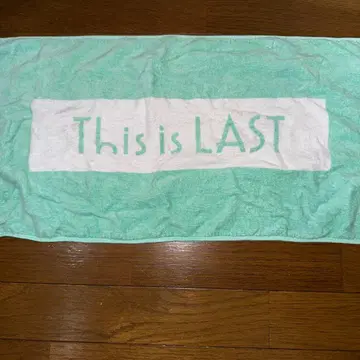 This is LAST 로고 타월 민트 그린