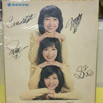 캔디즈 사인 색지