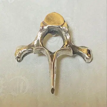 BACKBONE 백본 목걸이 펜던트 SV925 실버925