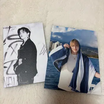 SEVENTEEN 에스쿱스