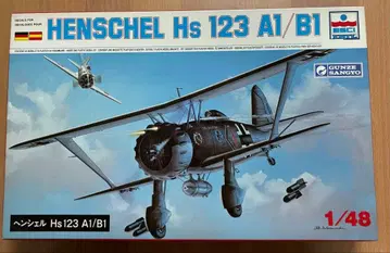 Henschel Hs 123 A1/B1 1/48