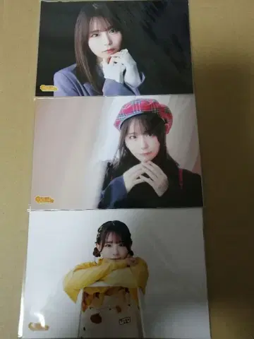 코히나타 미카 브로마이드 세트 3종 세트