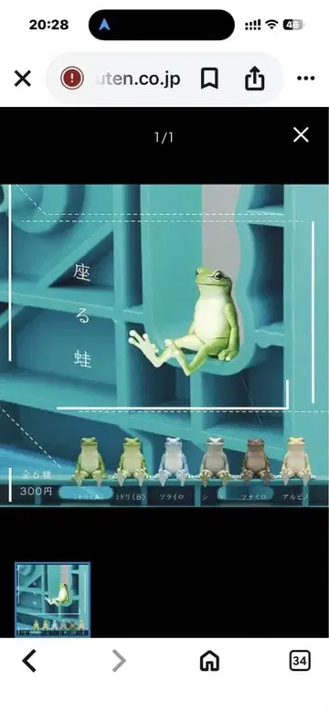 앉아있는 개구리 개구리 피규어 6개 세트