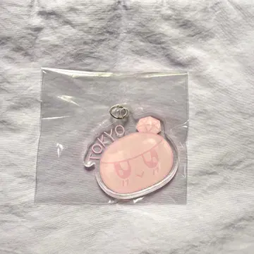 Seventeen 봉봉이 tokyo 도쿄 diy 키 참 new