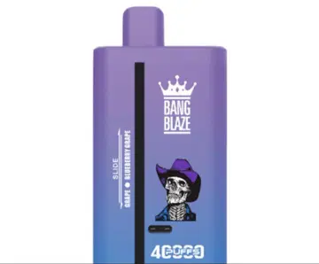 BANG 40000 퍼프 니코퍼프 N 프리