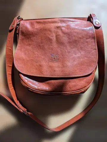 일비종떼 숄더백