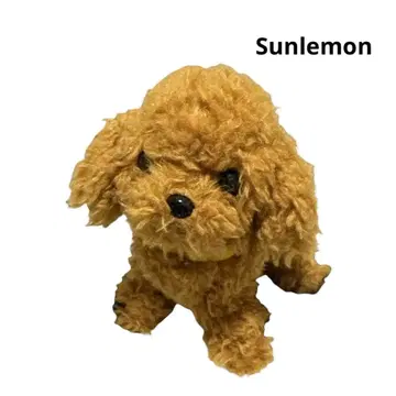 산레몬 봉제 인형 토이 푸들 브라운