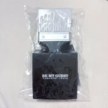 3대 JSB 이와타 타카노리 BE MY GUEST 브러쉬형 응원봉