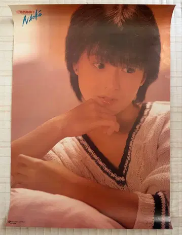 카와이 나오코 포스터