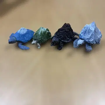 마운틴 터틀즈 컴프