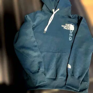 THE NORTH FACE 풀오버 L