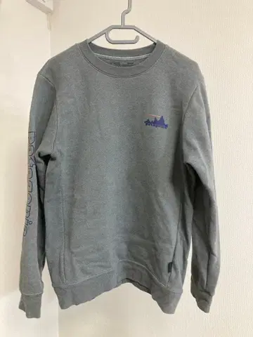 patagonia 그레이 트레이닝복