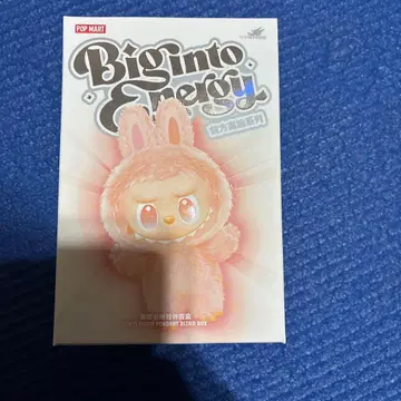 [정품 미개봉] LABUBU 라부부 봉제 인형 1상자