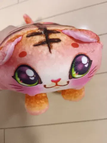 판비나 핑크 고양이