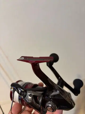 SHIMANO sephia BB 가격 인하