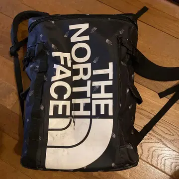 THE NORTH FACE 블랙 백팩