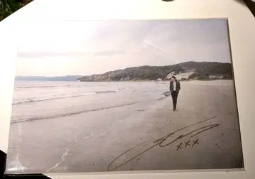 드레스코즈 시마 료헤이 사인 포함 패널