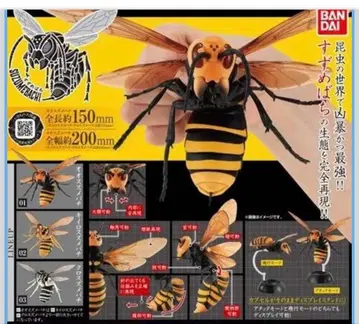 BANDAI 검정말벌 노랑말벌 5개 세트