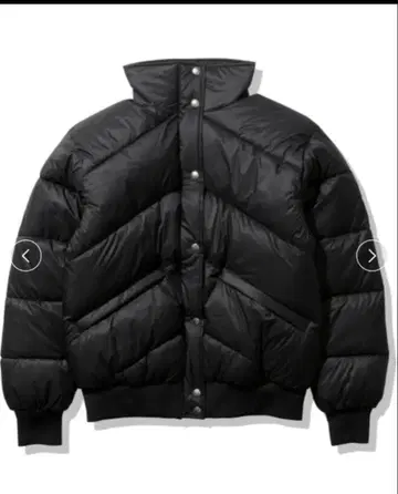 THE NORTH FACE 락스퍼 자켓 NY82031 쇼트 기장