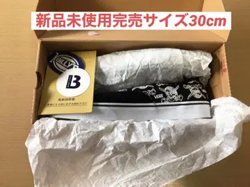 vans challenger masses rats 포크찹