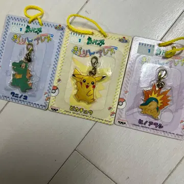 포켓몬 키라린 플레이트 3종류 피카츄 와니노코 히노아라시