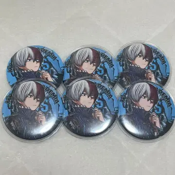 토도로키 쇼토 캔뱃지 6개 십걸 제3탄 원작 컬렉션