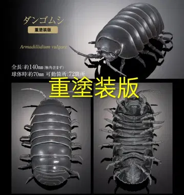 쥐며느리 중채색 온라인판 생물대도감