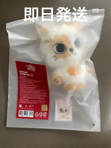 BOYNEXTDOOR 푸네크도 팝업 선호 키링 (미개봉)